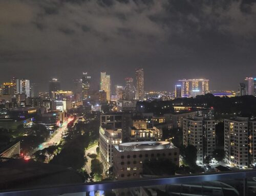 ALMCO Travels to Singapore